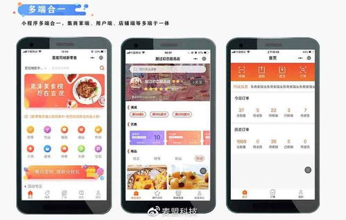 北京麥盟科技 小程序 app 開發(fā)的璀璨之星